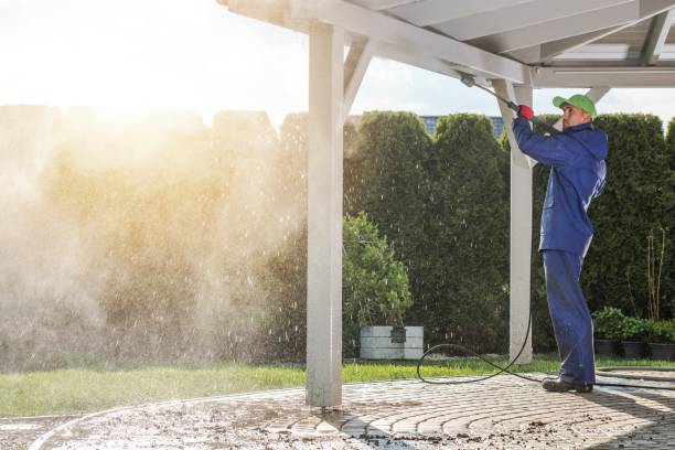 Best Driveway Pressure Washing  in Mulberry, FL